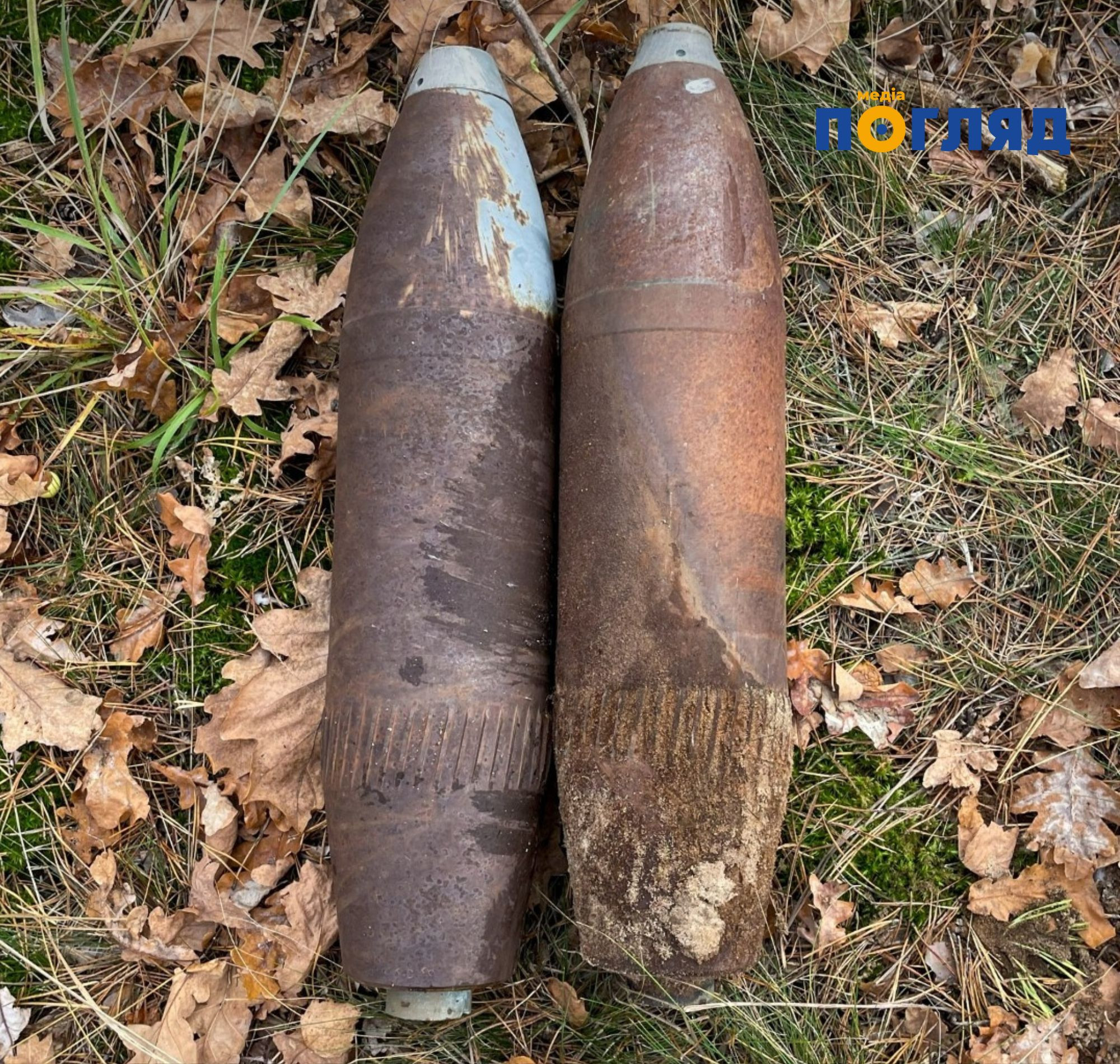 У Бучанському районі під час збирання грибів місцевий мешканець натрапив на протипіхотну осколкову міну (ФОТО) - зображення